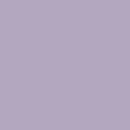022 Silver Light Purple