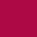 043 Vamp