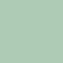 051 Hint of Mint