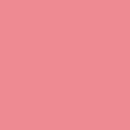 055 Hibiscus